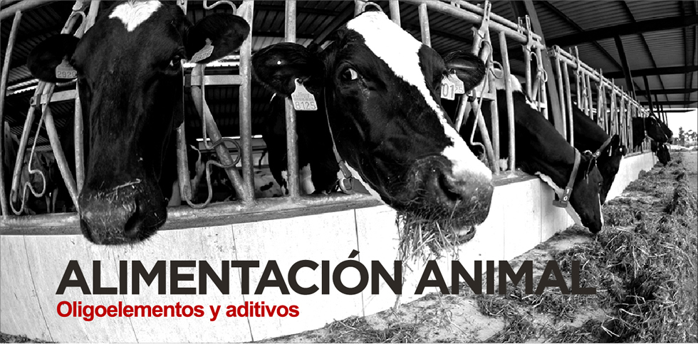 alimentacion-animal